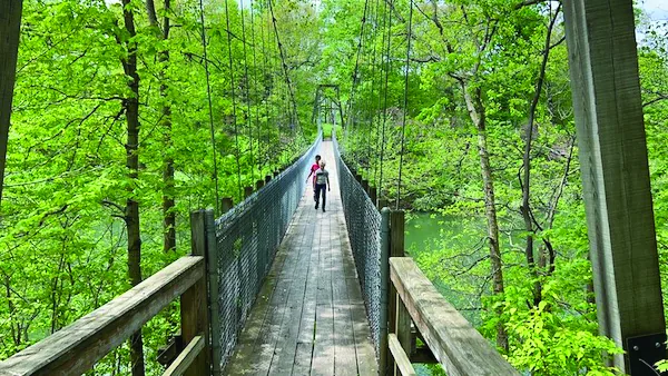 Walking on a forest bridge